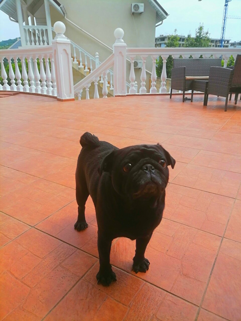 Гостиница Велес Дагомыс-36